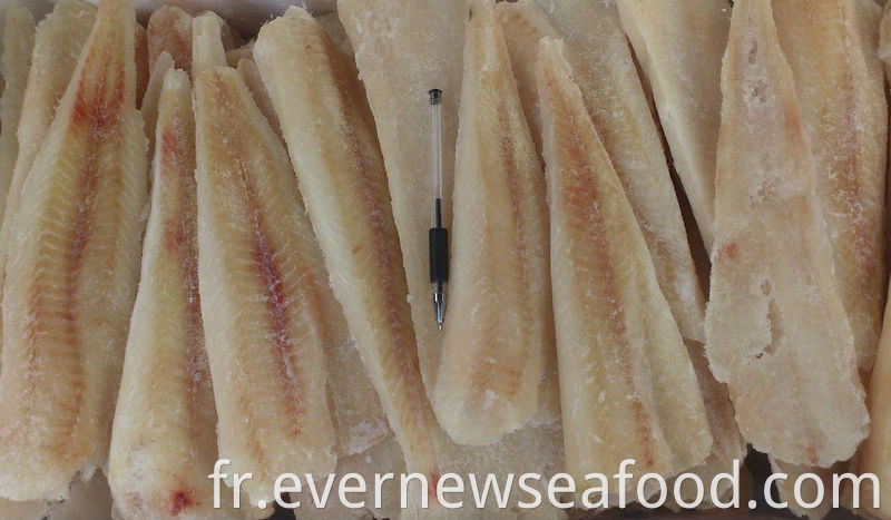Filet de poisson frais surgelé Filet de merlu surgelé